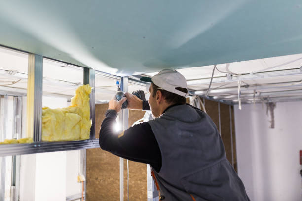 Best Residential Insulation in Hasbrouck Heights, NJ