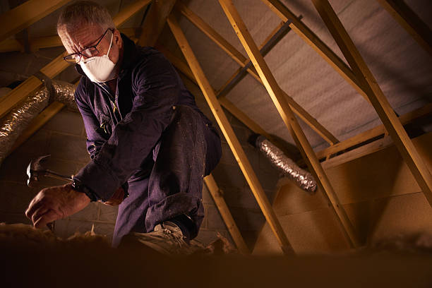 Best Specialized Insulation Services in Hasbrouck Heights, NJ